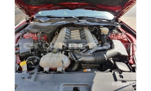Acheter Import Voiture Ford Mustang Rouge à Import - Dubai, Conakry Acheter Import Voiture Ford Mustang Rouge à Import - Dubai, Conakry
