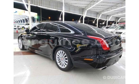 Buy Import Jaguar XJ Black Car in Import - Dubai in Conakry Buy Import Jaguar XJ Black Car in Import - Dubai in Conakry