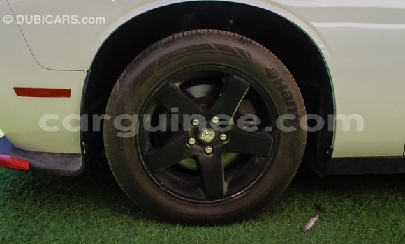 Acheter Import Voiture Dodge Challenger Blanc à Import - Dubai, Conakry Acheter Import Voiture Dodge Challenger Blanc à Import - Dubai, Conakry