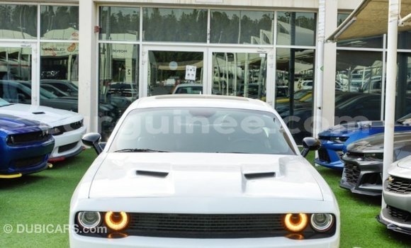 Acheter Import Voiture Dodge Challenger Blanc à Import - Dubai, Conakry Acheter Import Voiture Dodge Challenger Blanc à Import - Dubai, Conakry