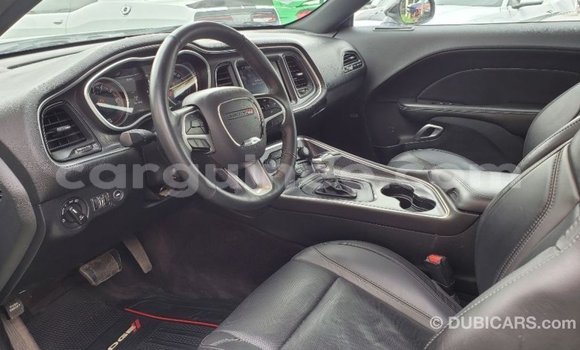 Acheter Import Voiture Dodge Challenger Blanc à Import - Dubai, Conakry Acheter Import Voiture Dodge Challenger Blanc à Import - Dubai, Conakry