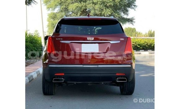 Acheter Import Voiture Cadillac XT5 Rouge à Import - Dubai, Conakry Acheter Import Voiture Cadillac XT5 Rouge à Import - Dubai, Conakry