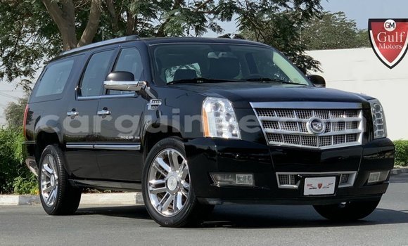 Buy Import Cadillac Escalade Black Car in Import - Dubai in Conakry