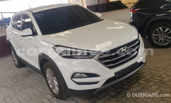 Acheter Import Voiture Hyundai Tucson Blanc à Import - Dubai, Conakry Acheter Import Voiture Hyundai Tucson Blanc à Import - Dubai, Conakry