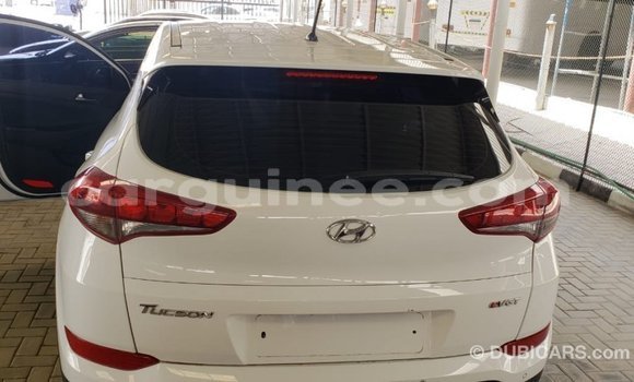 Acheter Import Voiture Hyundai Tucson Blanc à Import - Dubai, Conakry Acheter Import Voiture Hyundai Tucson Blanc à Import - Dubai, Conakry