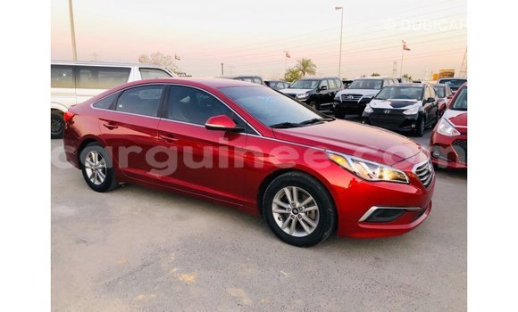 Acheter Import Voiture Hyundai Sonata Rouge à Import - Dubai, Conakry Acheter Import Voiture Hyundai Sonata Rouge à Import - Dubai, Conakry