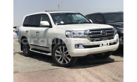 Acheter Import Voiture Toyota Land Cruiser Blanc à Import - Dubai, Conakry