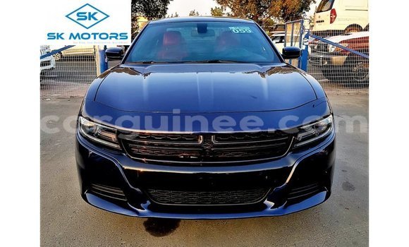 Buy Import Dodge Charger Blue Car in Import - Dubai in Conakry Buy Import Dodge Charger Blue Car in Import - Dubai in Conakry