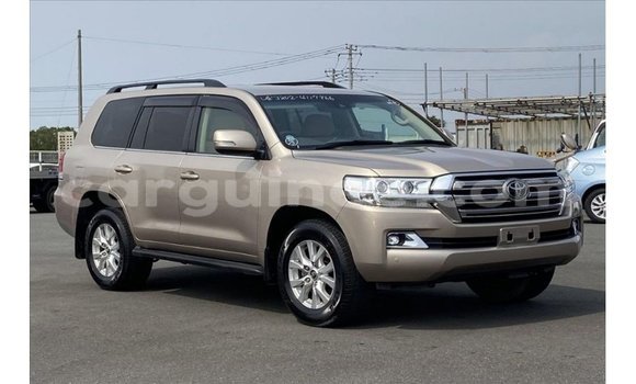 Buy Import Toyota Land Cruiser Other Car in Import - Dubai in Conakry