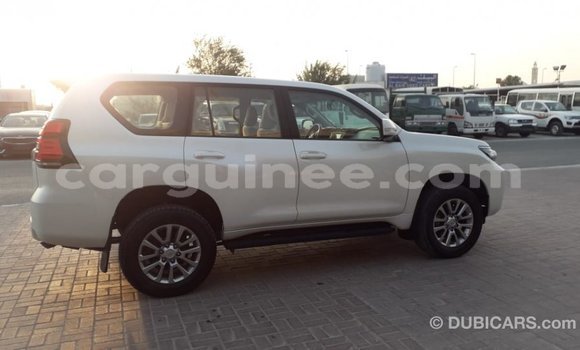 Buy Import Toyota Prado White Car in Import - Dubai in Conakry Buy Import Toyota Prado White Car in Import - Dubai in Conakry