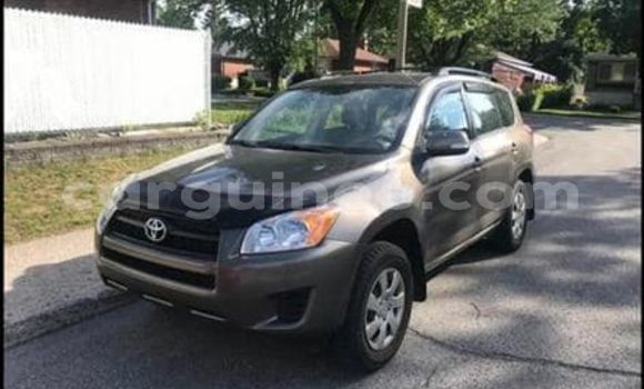 Buy Used Toyota RAV4 Brown Car in Conakry in Conakry Buy Used Toyota RAV4 Brown Car in Conakry in Conakry