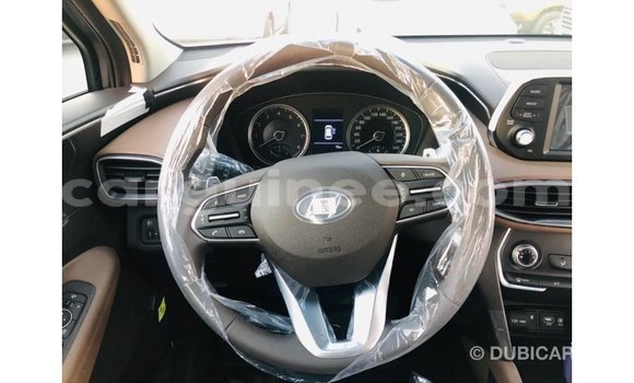 Acheter Import Voiture Hyundai Santa Fe Marron à Import - Dubai, Conakry Acheter Import Voiture Hyundai Santa Fe Marron à Import - Dubai, Conakry