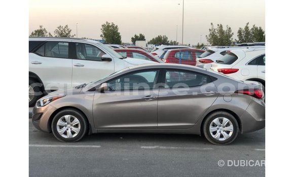 Buy Import Hyundai Elantra Brown Car in Import - Dubai in Conakry Buy Import Hyundai Elantra Brown Car in Import - Dubai in Conakry