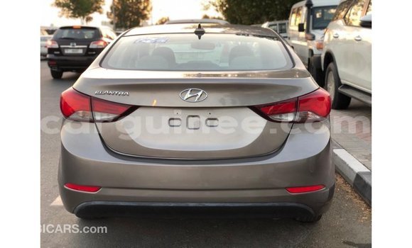 Buy Import Hyundai Elantra Brown Car in Import - Dubai in Conakry Buy Import Hyundai Elantra Brown Car in Import - Dubai in Conakry