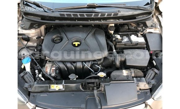 Buy Import Hyundai Elantra Brown Car in Import - Dubai in Conakry Buy Import Hyundai Elantra Brown Car in Import - Dubai in Conakry