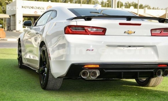 Buy Import Chevrolet Camaro White Car in Import - Dubai in Conakry Buy Import Chevrolet Camaro White Car in Import - Dubai in Conakry