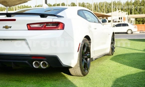 Buy Import Chevrolet Camaro White Car in Import - Dubai in Conakry Buy Import Chevrolet Camaro White Car in Import - Dubai in Conakry