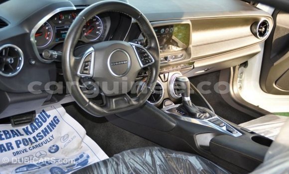 Buy Import Chevrolet Camaro White Car in Import - Dubai in Conakry Buy Import Chevrolet Camaro White Car in Import - Dubai in Conakry