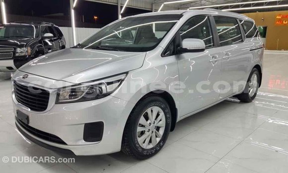 Buy Import Kia Carnival Other Car in Import - Dubai in Conakry Buy Import Kia Carnival Other Car in Import - Dubai in Conakry