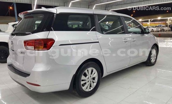 Buy Import Kia Carnival Other Car in Import - Dubai in Conakry Buy Import Kia Carnival Other Car in Import - Dubai in Conakry