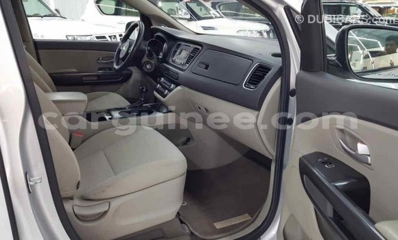 Buy Import Kia Carnival Other Car in Import - Dubai in Conakry Buy Import Kia Carnival Other Car in Import - Dubai in Conakry