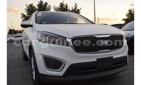 Acheter Import Voiture Kia Sorento Blanc à Import - Dubai, Conakry