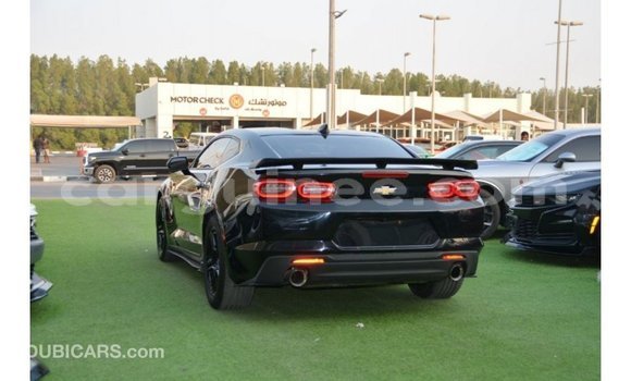 Buy Import Chevrolet Camaro Black Car in Import - Dubai in Conakry Buy Import Chevrolet Camaro Black Car in Import - Dubai in Conakry