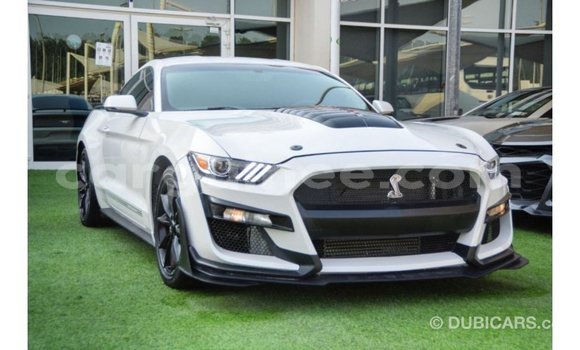 Buy Import Ford Mustang White Car in Import - Dubai in Conakry Buy Import Ford Mustang White Car in Import - Dubai in Conakry