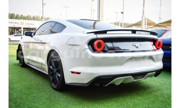 Buy Import Ford Mustang White Car in Import - Dubai in Conakry Buy Import Ford Mustang White Car in Import - Dubai in Conakry