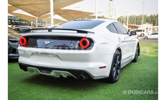 Buy Import Ford Mustang White Car in Import - Dubai in Conakry Buy Import Ford Mustang White Car in Import - Dubai in Conakry