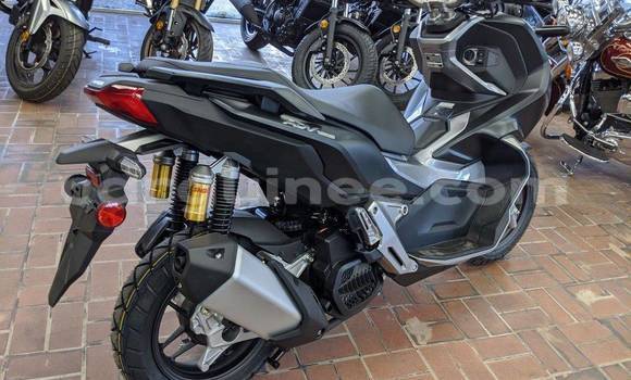 Acheter Neuf Moto Honda X-ADV Marron à Conakry, Conakry Acheter Neuf Moto Honda X-ADV Marron à Conakry, Conakry