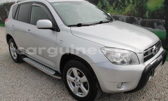 Buy Used Toyota RAV4 Other Car in Beyla in Beyla