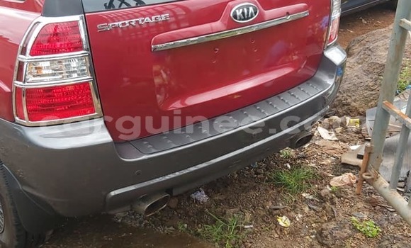 Buy Used Kia Sportage Red Car in Conakry in Conakry Buy Used Kia Sportage Red Car in Conakry in Conakry