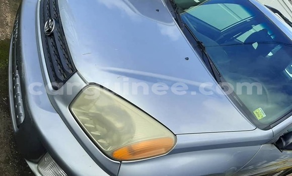 Buy Used Toyota RAV4 Silver Car in Conakry in Conakry Buy Used Toyota RAV4 Silver Car in Conakry in Conakry