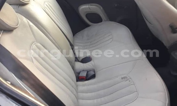 Acheter Occasion Voiture Nissan Micra Noir à Coyah, Coyah Acheter Occasion Voiture Nissan Micra Noir à Coyah, Coyah