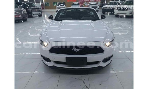 Buy Import Ford Mustang White Car in Import - Dubai in Conakry Buy Import Ford Mustang White Car in Import - Dubai in Conakry