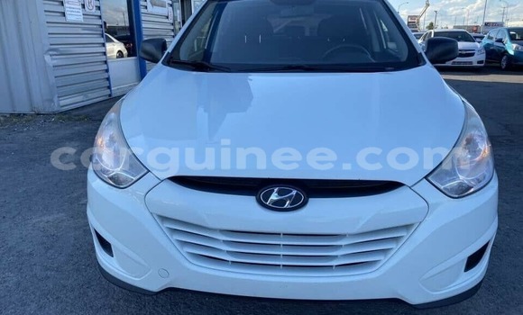 Buy Used Hyundai Tucson White Car in Conakry in Conakry