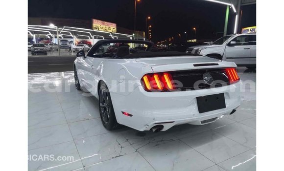 Buy Import Ford Mustang White Car in Import - Dubai in Conakry Buy Import Ford Mustang White Car in Import - Dubai in Conakry