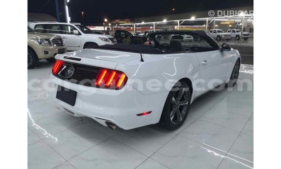 Buy Import Ford Mustang White Car in Import - Dubai in Conakry Buy Import Ford Mustang White Car in Import - Dubai in Conakry