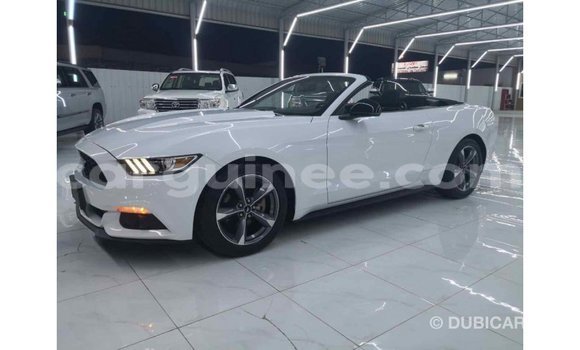 Buy Import Ford Mustang White Car in Import - Dubai in Conakry Buy Import Ford Mustang White Car in Import - Dubai in Conakry
