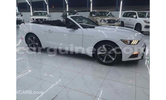 Buy Import Ford Mustang White Car in Import - Dubai in Conakry Buy Import Ford Mustang White Car in Import - Dubai in Conakry