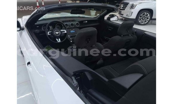 Buy Import Ford Mustang White Car in Import - Dubai in Conakry Buy Import Ford Mustang White Car in Import - Dubai in Conakry