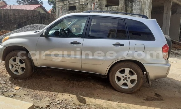 Buy Used Toyota RAV4 Silver Car in Conakry in Conakry