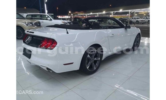 Acheter Import Voiture Ford Mustang Blanc à Import - Dubai, Conakry