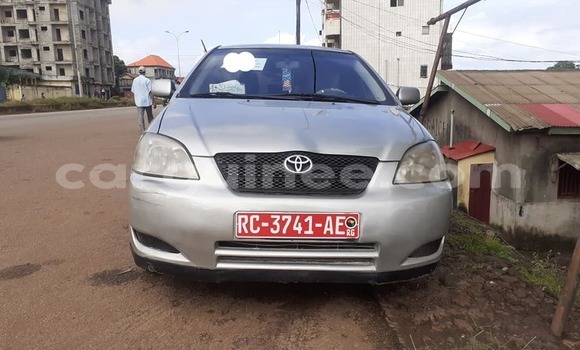 Buy Used Toyota Corolla Silver Car in Conakry in Conakry Buy Used Toyota Corolla Silver Car in Conakry in Conakry