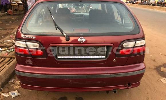 Acheter Occasion Voiture Nissan Almera Rouge à Conakry, Conakry Acheter Occasion Voiture Nissan Almera Rouge à Conakry, Conakry