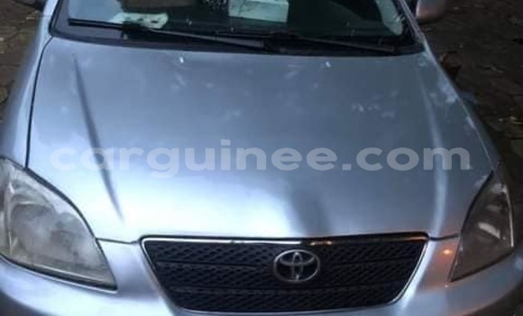 Acheter Occasion Voiture Toyota Corolla Gris à Conakry, Conakry Acheter Occasion Voiture Toyota Corolla Gris à Conakry, Conakry