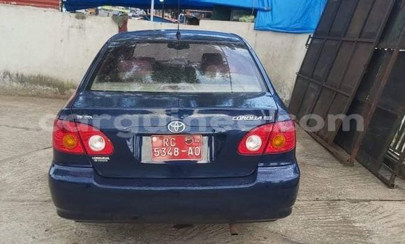 Acheter Occasion Voiture Toyota Corolla Bleu à Conakry, Conakry Acheter Occasion Voiture Toyota Corolla Bleu à Conakry, Conakry