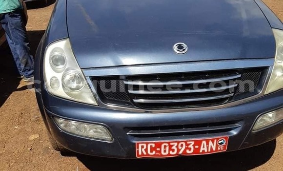 Acheter Occasion Voiture SsangYong Rexton Bleu à Conakry, Conakry