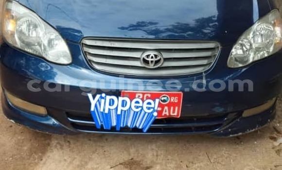 Acheter Occasion Voiture Toyota Corolla Bleu à Conakry, Conakry Acheter Occasion Voiture Toyota Corolla Bleu à Conakry, Conakry